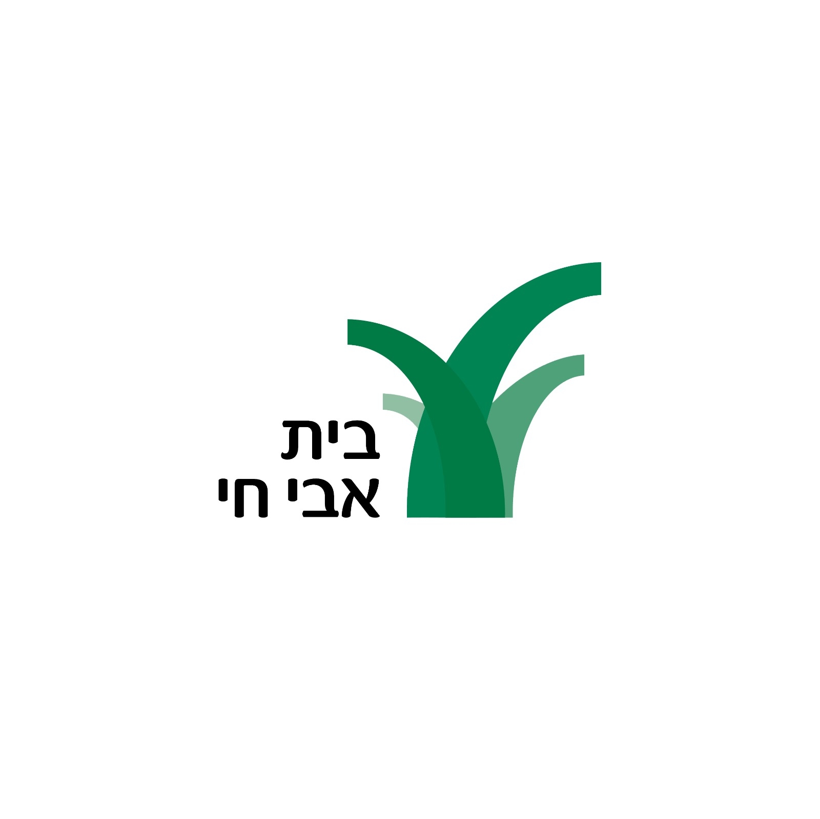בית אבי חי
